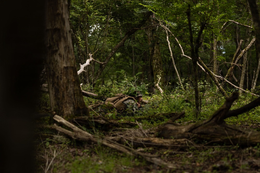 A person in military or tactical gear is lying prone in a dense forest, partially concealed among undergrowth and fallen branches. The individual appears to be in a low-profile position, consistent with reconnaissance or tactical training. The forest environment is lush and green, providing natural concealment.