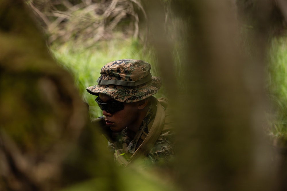 A military personnel member is partially concealed within dense woodland vegetation, photographed through out-of-focus foreground foliage. The individual is wearing digital camouflage uniform and hat consistent with MARPAT (Marine pattern) design, along with dark tactical sunglasses. The shallow depth of field and natural cover suggest either a field exercise or operational patrol scenario.