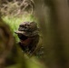 A military personnel member is partially concealed within dense woodland vegetation, photographed through out-of-focus foreground foliage. The individual is wearing digital camouflage uniform and hat consistent with MARPAT (Marine pattern) design, along with dark tactical sunglasses. The shallow depth of field and natural cover suggest either a field exercise or operational patrol scenario.
