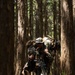A U.S. Marine in MARPAT woodland camouflage is performing a fireman's carry, transporting an incapacitated fellow Marine through a dense forest. The carrying Marine is armed with an M4-style carbine and wearing a boonie cover, tactical vest, and full combat load. The setting appears to be a training exercise in a tall-canopy forest environment.