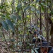 The image shows multiple individuals concealed within dense jungle undergrowth, wearing dark clothing and wide-brimmed hats. They appear to be in a low crouching or prone position among trees and foliage. Firearms and tactical gear, including a green backpack, are visible among the group.