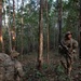 Two soldiers in multicam/camouflage uniforms are conducting a patrol or movement through a tropical or subtropical forest with tall, sparse trees and a leaf-covered ground. One soldier faces away carrying a large rucksack while the other stands alert holding a rifle and scanning the surroundings. The environment suggests a jungle training exercise or operational patrol.