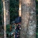 A soldier in camouflage uniform and face paint is taking cover behind a large tree trunk in a dense jungle environment. The soldier is holding a rifle with an orange muzzle cap, indicating a training or exercise scenario. A second soldier is visible in the background carrying a large pack.