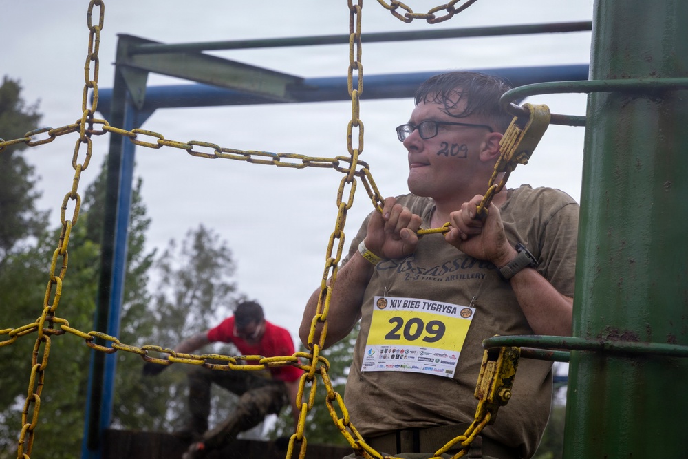 A participant in the 'XIV Bieg Tygrysa' (XIV Tiger Run) obstacle race is navigating a chain-based climbing structure, wearing bib number 209 written both on their race bib and on their cheek. The competitor appears wet and muddy, consistent with a tough mudder-style obstacle course event. A second participant in a red shirt is visible in the background on the same structure.