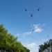 A military parade is taking place on a closed street, with a formation of uniformed personnel marching in black jackets and white trousers, led by an officer carrying a ceremonial sword. A red unit guidon flag is visible near the front of the formation. Overhead, seven military helicopters fly in a formation pattern against a clear blue sky.