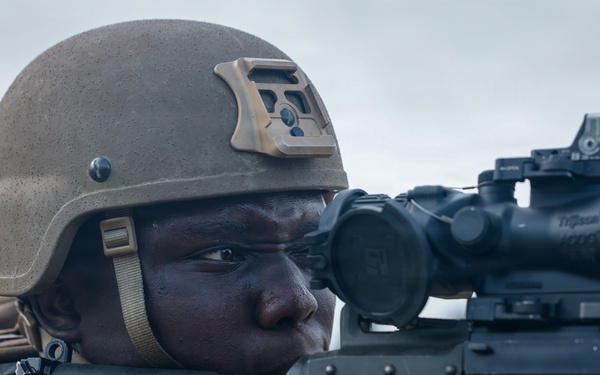 5th Air Naval Gunfire Liaison Company Marines participate in live-fire training