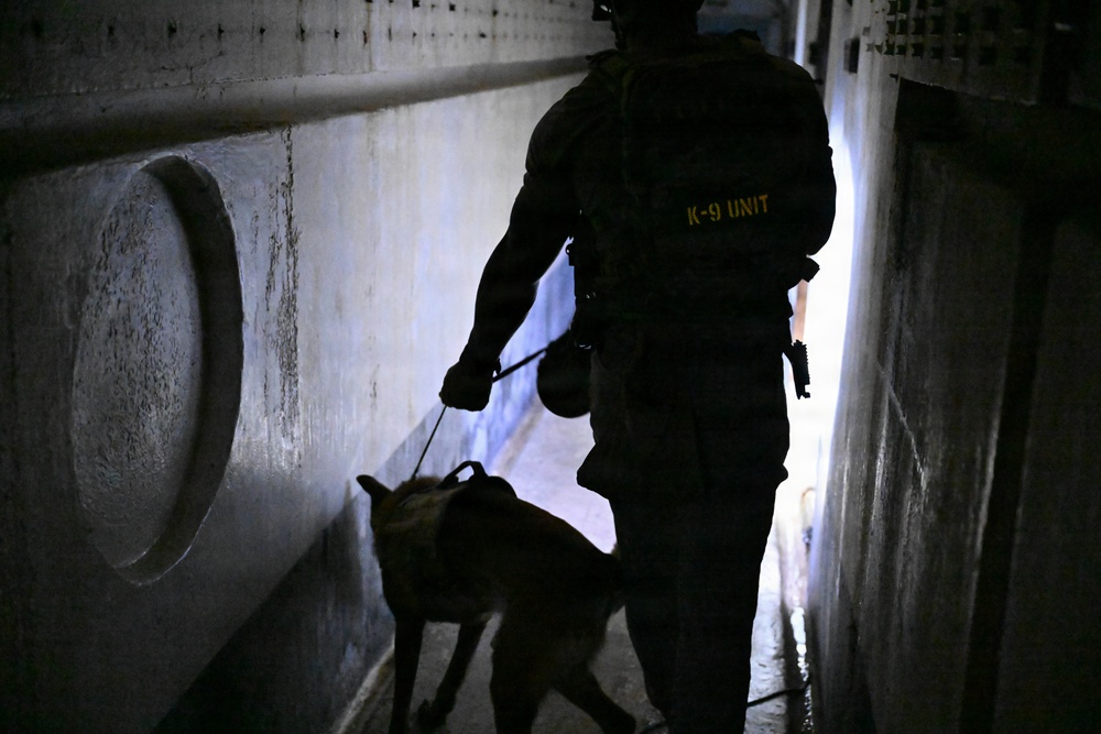 31 SFS K-9 unit participates in Operazione Gambero training
