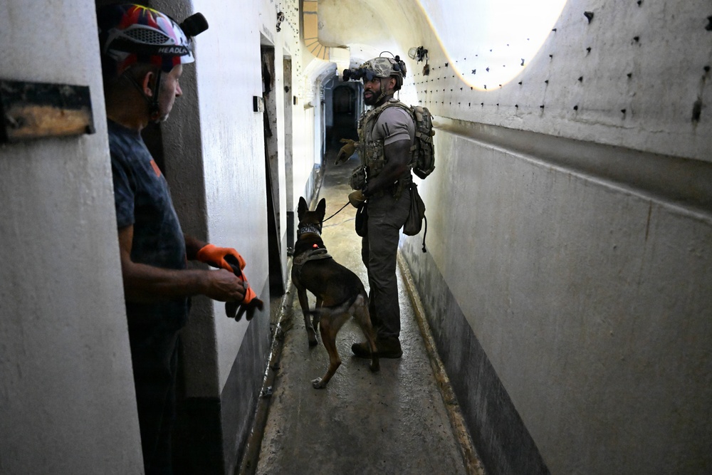 31 SFS K-9 unit participates in Operazione Gambero training