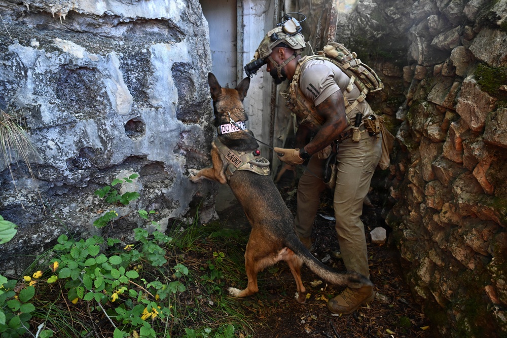 31 SFS K-9 unit participates in Operazione Gambero training