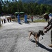 31 SFS K-9 unit participates in Operazione Gambero training