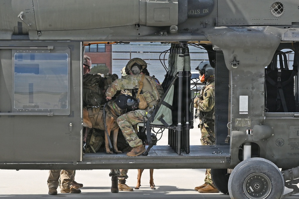 87th Security Forces Squadron K-9 Unit Aircraft Rigging at JB MDL