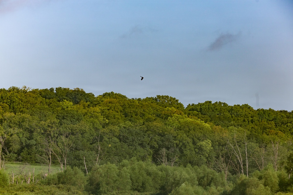 Kansas lake records state’s second successful osprey nesting three years after the first