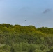 Kansas lake records state’s second successful osprey nesting three years after the first