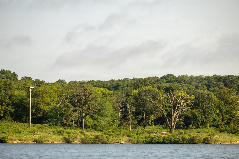 Kansas lake records state’s second successful osprey nesting three years after the first