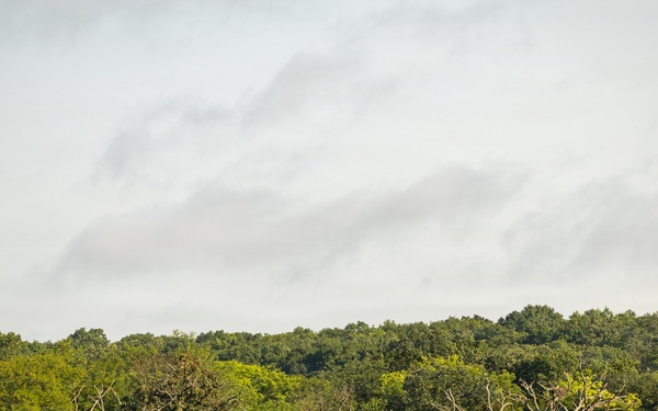 Kansas lake records state’s second successful osprey nesting three years after the first