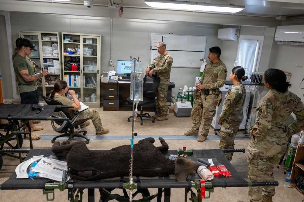 Meet &amp;quot;Diesel&amp;quot; the MWD Vet Training Aid