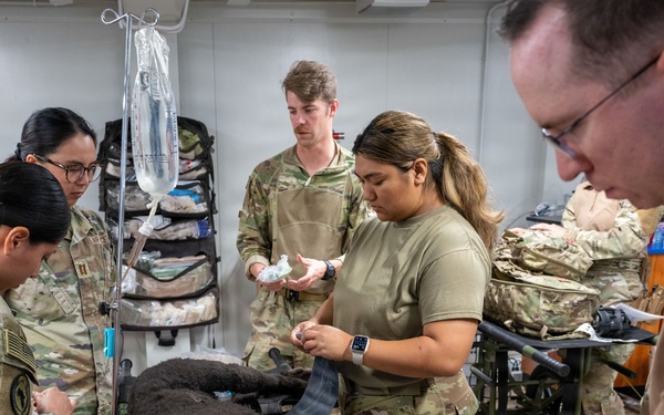 Meet &amp;quot;Diesel&amp;quot; the MWD Vet Training Aid