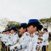 Fuerzas Comando 2026