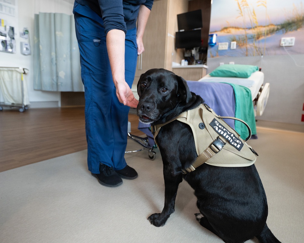 Flexibility, tailored care plans help labor, delivery meet patient needs