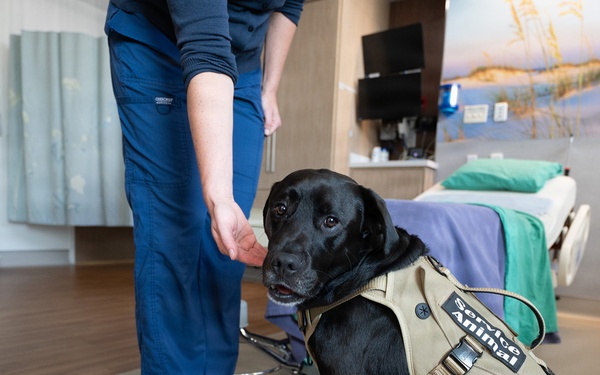 Flexibility, tailored care plans help labor, delivery meet patient needs