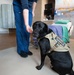 Flexibility, tailored care plans help labor, delivery meet patient needs