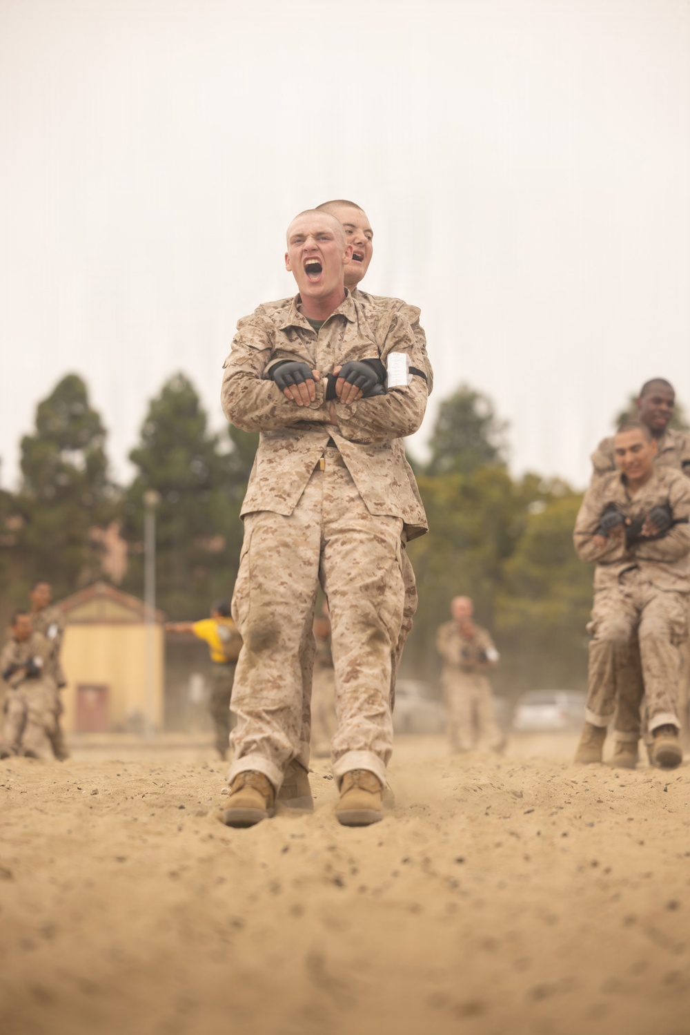 A group of military personnel in desert camouflage uniforms (MARPAT pattern) are engaged in a physical training exercise on a sandy field. The foreground subject, a young male with a shaved head, is shouting with arms crossed over his chest while appearing to carry or be carried by another person behind him. Multiple other service members are visible performing similar activities in the background.
