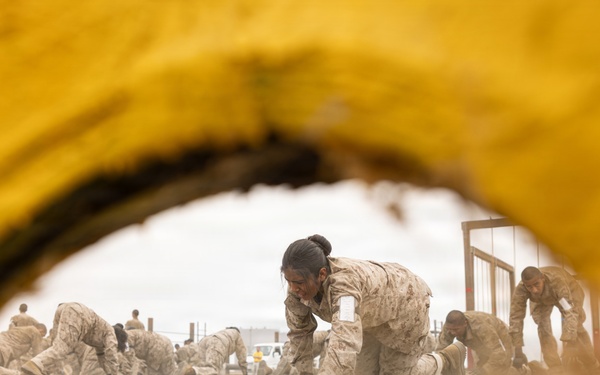 Fox Company Combat Conditioning