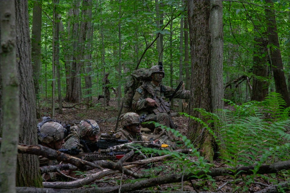2nd Battalion, 22nd Infantry Regiment, 10th Mountain Division (LI), STX Lanes