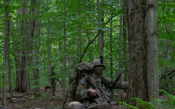 2nd Battalion, 22nd Infantry Regiment, 10th Mountain Division (LI), STX Lanes