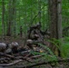 2nd Battalion, 22nd Infantry Regiment, 10th Mountain Division (LI), STX Lanes
