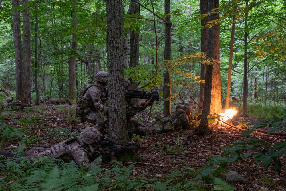 2nd Battalion, 22nd Infantry Regiment, 10th Mountain Division (LI), STX Lanes