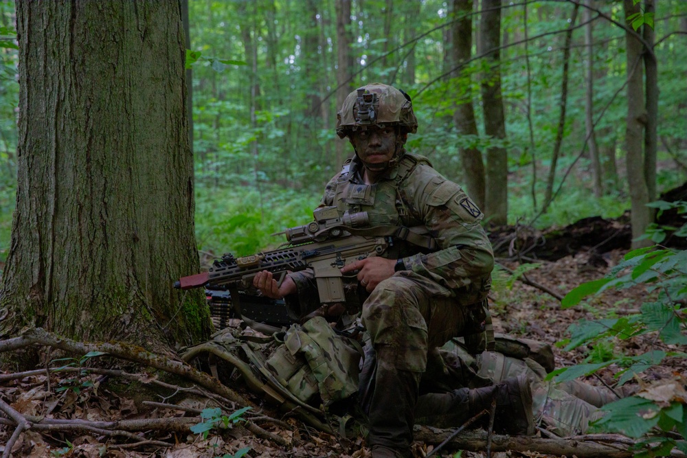 2nd Battalion, 22nd Infantry Regiment, 10th Mountain Division (LI), STX Lanes
