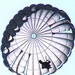 404th Civil Affairs Battalion Canopy Flight at JB MDL