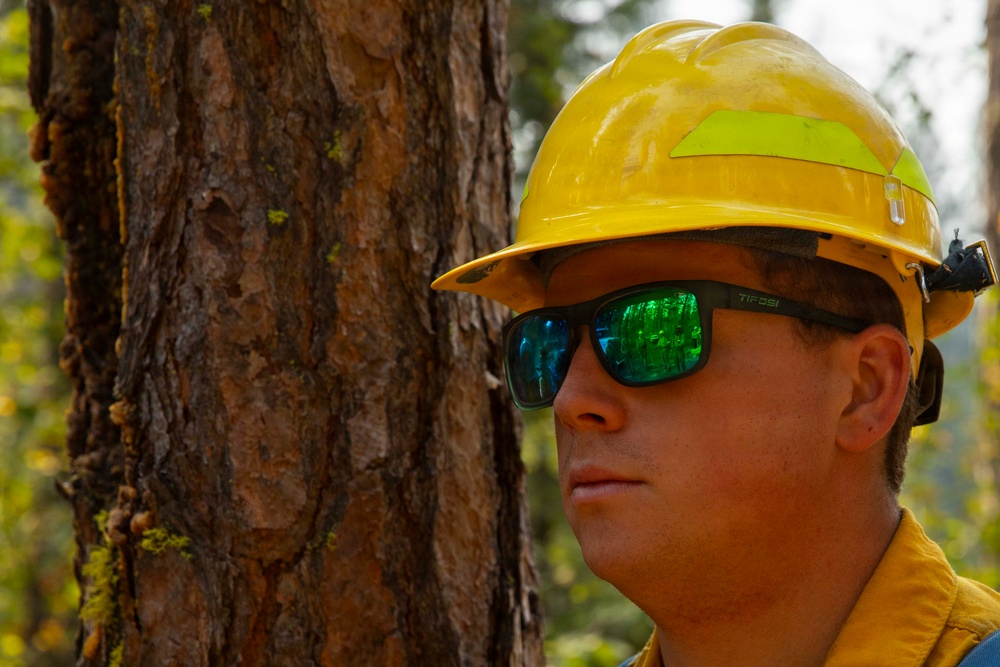 A male worker wearing a yellow hard hat with a reflective green strip and Tifosi brand mirrored green sunglasses stands beside a large tree trunk in a forested setting. His yellow clothing suggests he is likely a wildland firefighter or forestry worker. The close-up portrait captures fine detail of both the subject and the textured bark of the tree.