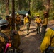 Active-duty U.S. Army Soldiers from 7th Infantry Division activated as wildland firefighters on the Stormy Mountain Fire