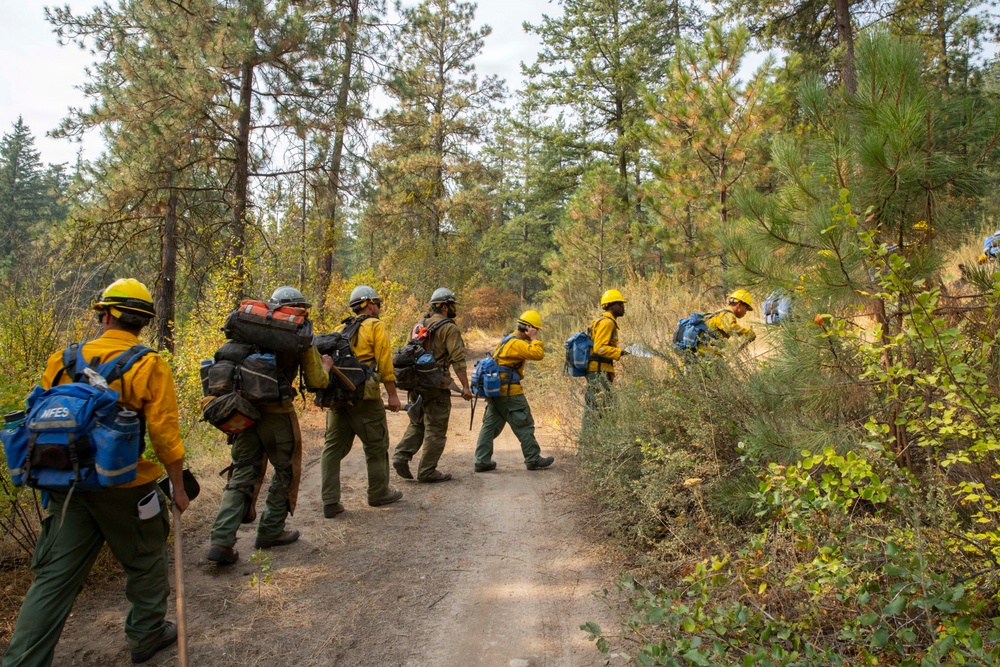 A crew of wildland firefighters in standard yellow Nomex shirts and green pants are walking single-file along a dirt forest road. They are fully equipped with backpacks, tools, and yellow hard hats, moving through a mixed conifer and deciduous forest. The scene suggests a crew deployment or patrol during an active or recent wildfire operation.