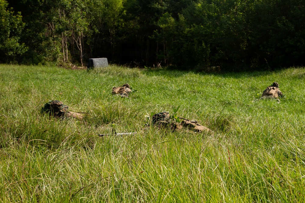 The image shows multiple soldiers in camouflage gear lying prone in a grassy field, blending into the vegetation. They appear to be conducting a tactical field exercise, likely practicing concealment or a low-crawl movement technique. A treeline forms the background, and a gray structure or target is visible in the mid-ground.