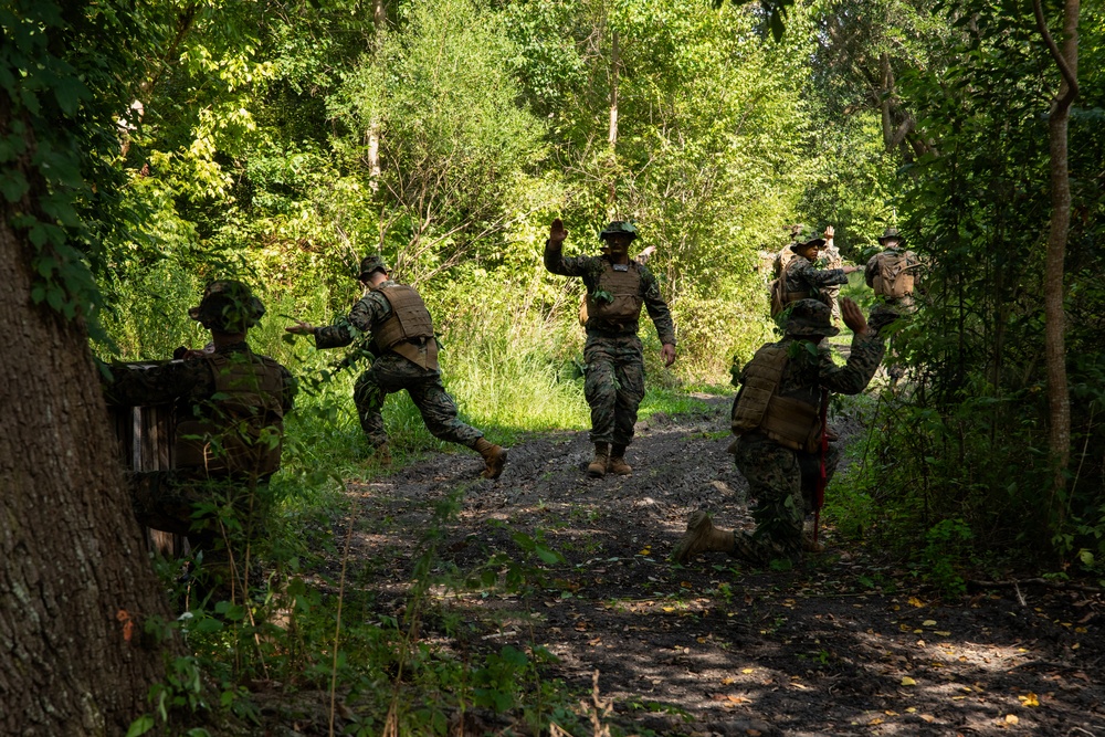 A group of military personnel in woodland camouflage uniforms are conducting a field training exercise along a dirt trail in a dense forested area. Several individuals are moving tactically, with at least one person giving hand signals, suggesting a patrol or movement-to-contact drill. The setting appears to be a training environment during daylight hours in a temperate forest.