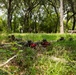 Military personnel in camouflage uniforms are conducting a training exercise in a wooded, grassy area. Several soldiers are in the prone position in the foreground holding red training weapons (MILES gear or dummy rifles), while two additional personnel stand in the background observing or supervising. The red-colored weapons indicate this is a training or simulation exercise rather than a live combat scenario.