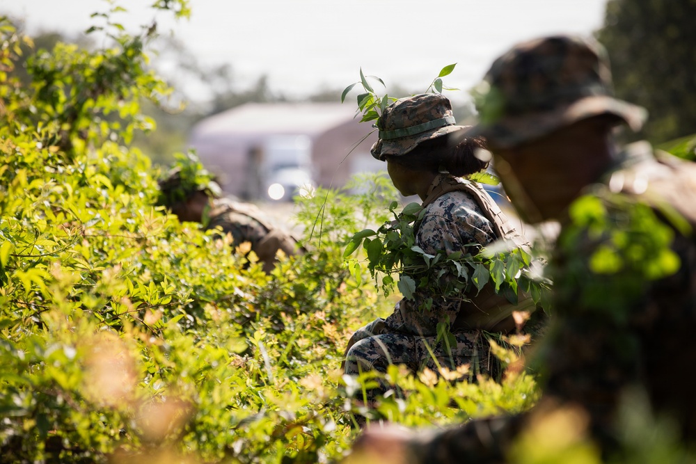 The image shows military personnel in camouflage uniforms concealed within dense green vegetation, appearing to conduct a field training exercise or tactical movement drill. At least three individuals are visible, wearing digital camouflage pattern uniforms and boonie hats with natural foliage attached for additional concealment. A structure and vehicle are visible in the blurred background, suggesting a semi-urban or base training environment.