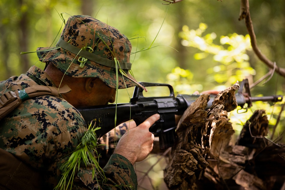 A soldier in digital camouflage uniform is positioned behind a fallen log in a forested environment, aiming a rifle forward. The individual has vegetation tucked into their hat and uniform as natural camouflage concealment. The scene appears to depict a military field training exercise or tactical operation in a woodland setting.