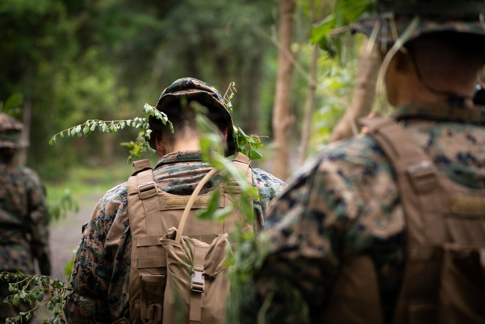The image shows multiple military personnel in woodland camouflage uniforms moving through a forested environment. The central figure has natural foliage tucked into their helmet as additional camouflage. The scene appears to depict a field training exercise or patrol in a wooded area.