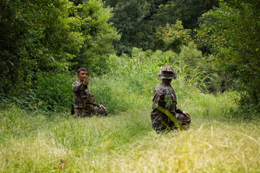 Two individuals in military camouflage uniforms are kneeling in a grassy clearing surrounded by dense green vegetation. One person faces the camera and appears to be communicating using hand signals or gestures, while the other faces away. The setting and attire suggest a military training exercise or field operation.