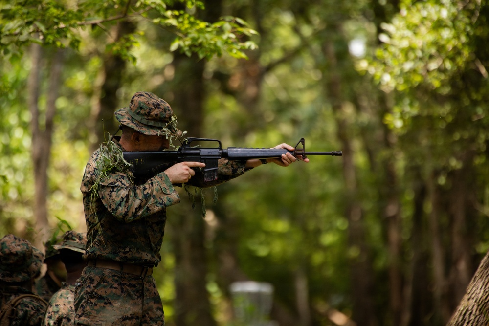 A soldier in digital camouflage uniform is aiming a rifle in a wooded training environment. The individual is wearing MARPAT (Marine pattern) camouflage with natural vegetation attached for concealment, suggesting a field training exercise. Additional personnel in similar uniforms are partially visible in the background.