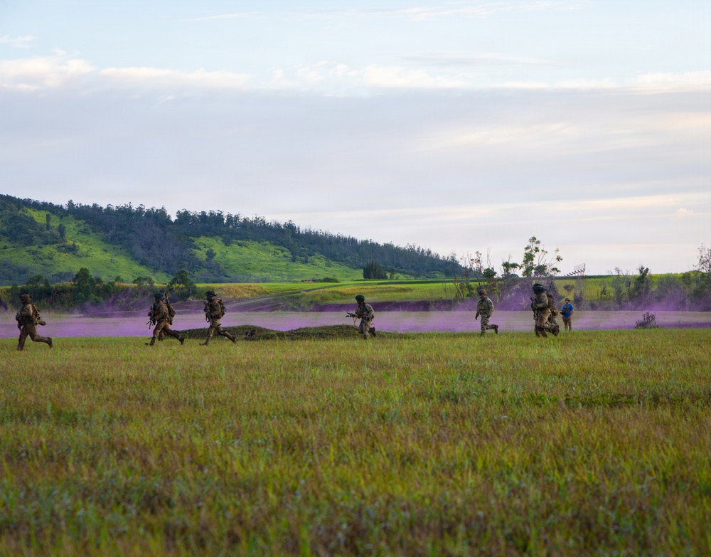 A group of military personnel in camouflage uniforms are conducting a field exercise across an open grassy plain, with purple/violet colored smoke deployed in the background. The soldiers appear to be advancing or maneuvering across the terrain in a tactical formation. The scene is set against a backdrop of green rolling hills and a partly cloudy sky.