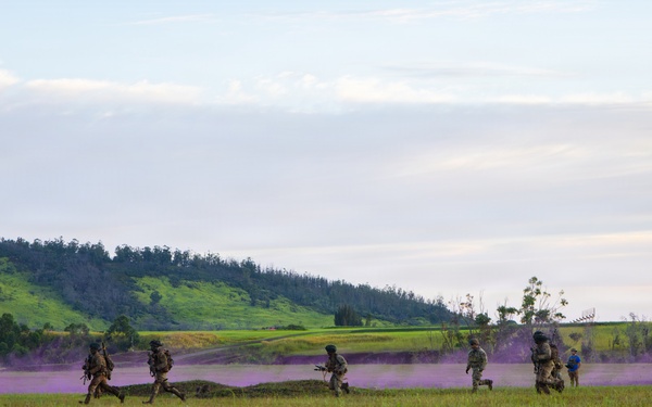 A group of military personnel in camouflage uniforms are conducting a field exercise across an open grassy plain, with purple/violet colored smoke deployed in the background. The soldiers appear to be advancing or maneuvering across the terrain in a tactical formation. The scene is set against a backdrop of green rolling hills and a partly cloudy sky.