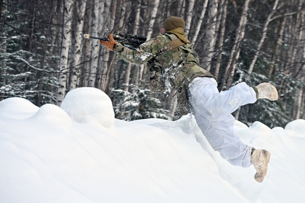 Snowy Security