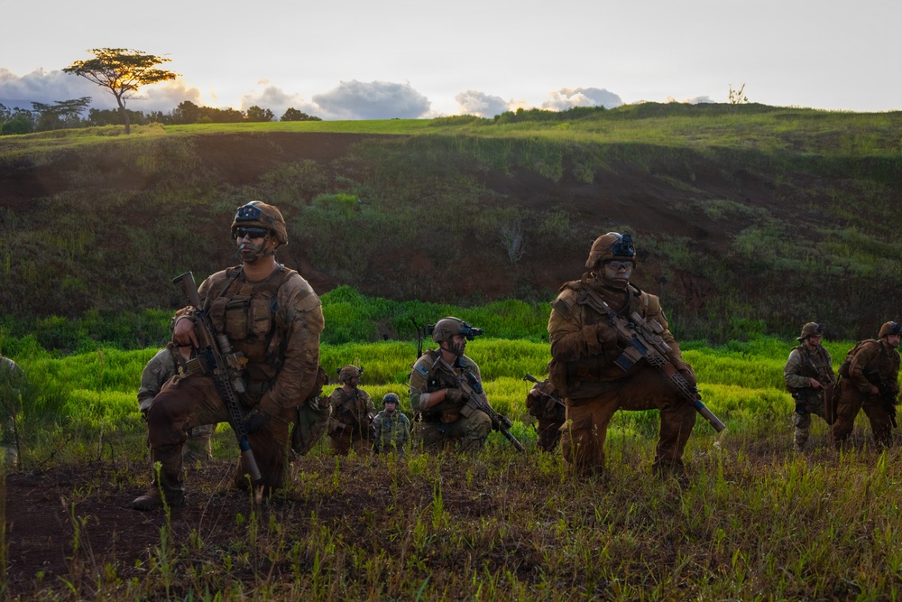 A group of military personnel in full combat gear are positioned across a grassy, hilly terrain during what appears to be a training exercise or tactical operation. The soldiers are armed with assault rifles and wearing camouflage uniforms, helmets, and tactical vests with face paint applied. The setting appears to be a tropical or subtropical environment, likely at dawn or dusk based on the lighting conditions.