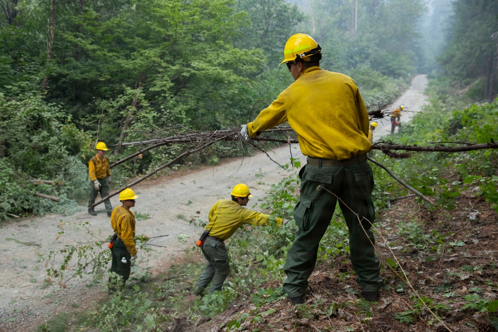 A crew of wildland firefighters wearing standard yellow Nomex shirts and green pants with yellow hard hats are clearing fallen trees and brush from a forest road. At least four workers are visible in the foreground, with additional crew members visible further down the road. The scene appears to be set in a smoky, forested environment consistent with wildfire suppression or fuel reduction operations.