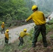 A crew of wildland firefighters wearing standard yellow Nomex shirts and green pants with yellow hard hats are clearing fallen trees and brush from a forest road. At least four workers are visible in the foreground, with additional crew members visible further down the road. The scene appears to be set in a smoky, forested environment consistent with wildfire suppression or fuel reduction operations.